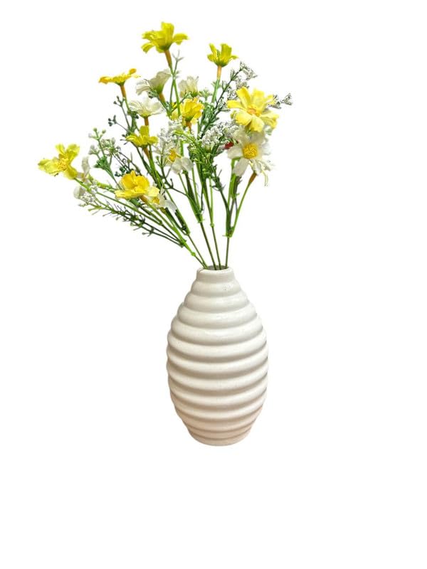VIBHSA Vases for Home Decor