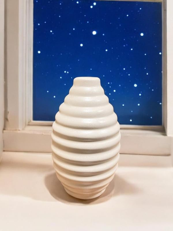 VIBHSA Vases for Home Decor
