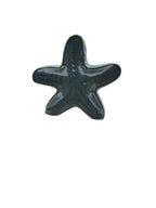 VIBHSA Ceramic Starfish-Shaped Flower Pot for Home & Office Décor