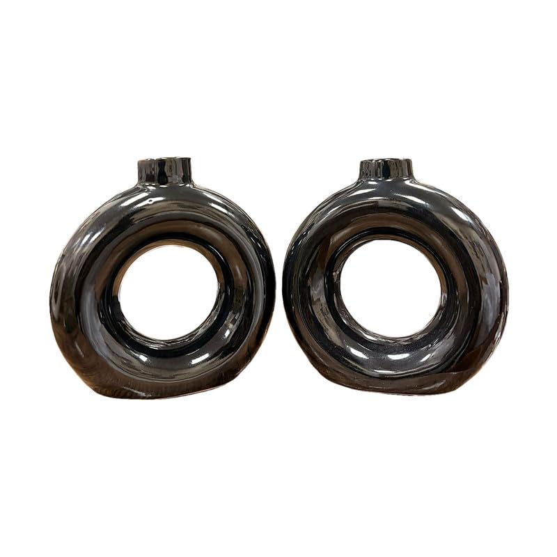 VIBHSA Set of 2 Modern Round Ring Shaped Decorative Vases