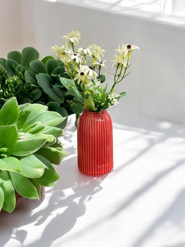 VIBHSA Cylindrical Vases for Home Decor