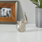 VIBHSA Handmade Ring Holder Organizer. Ring Holders for Jewelry (Silver Elephant)