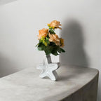 VIBHSA Star Fish Shape Vase, Ceramic Plant Pot, Diamond Shaped Planter