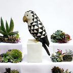 VIBHSA Cockatoo Symphony Geometric Resin Beauty Black & White Showpiece Decorative Showpiece - 11.43 cm
