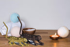 VIBHSA Collectible Wild Cat Animal Decoration Figurine Set
