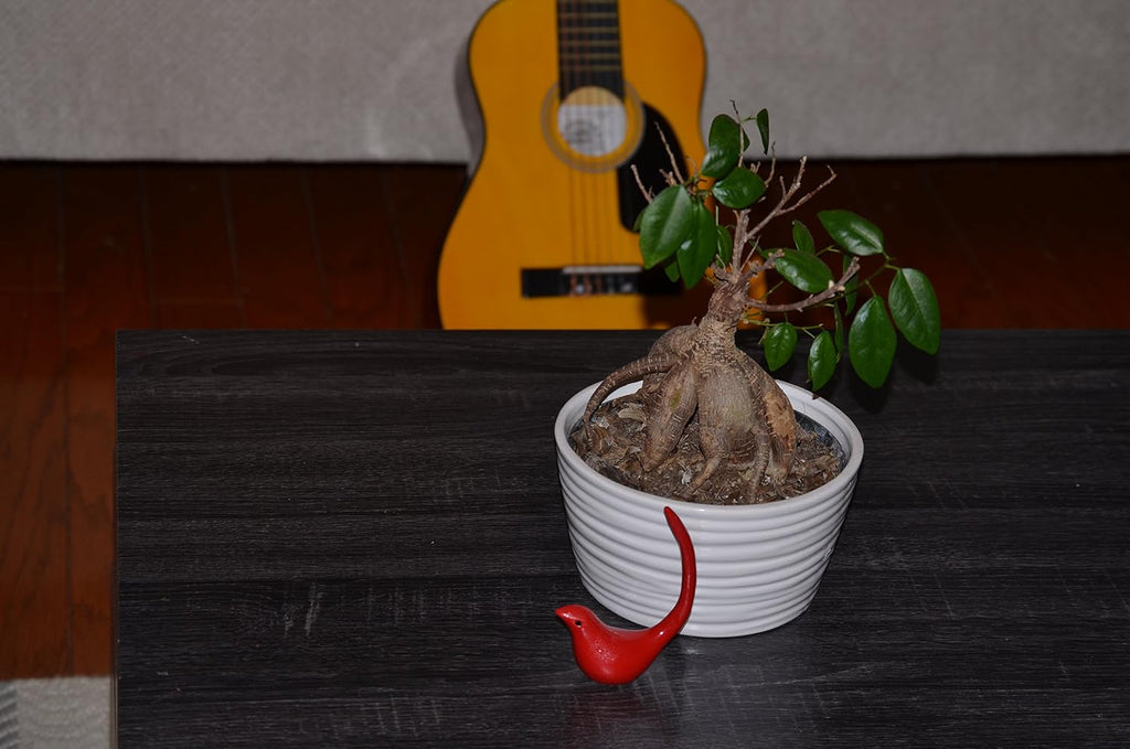 Red Bird Figurine of Health & Hapiness (3.8" H, Aluminum)